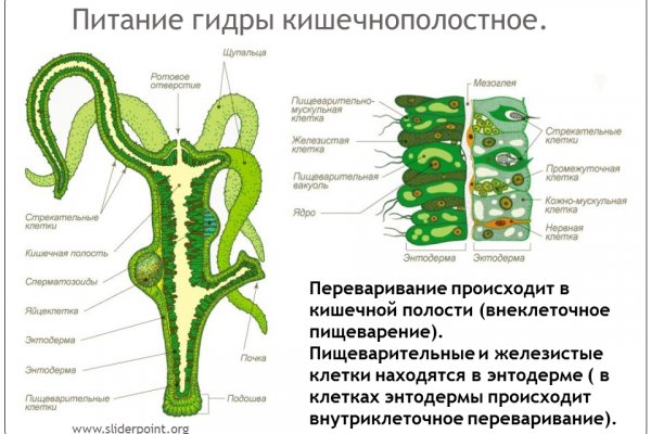 Как купить наркотик в кракен