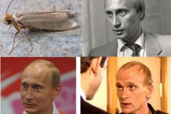 Kraken рабочая ссылка 2025