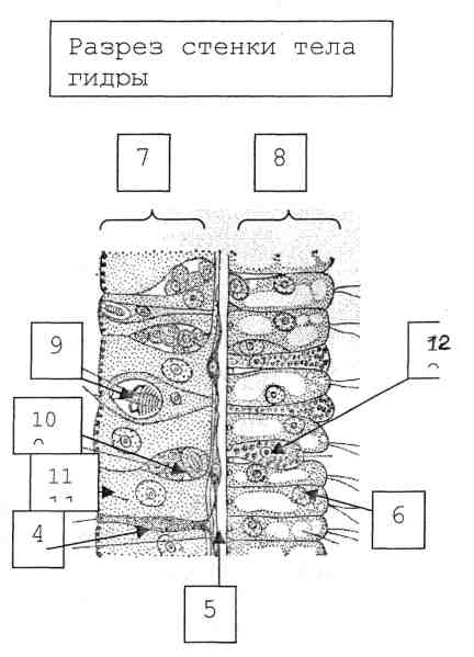 Как восстановить аккаунт в кракен